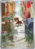Litleo